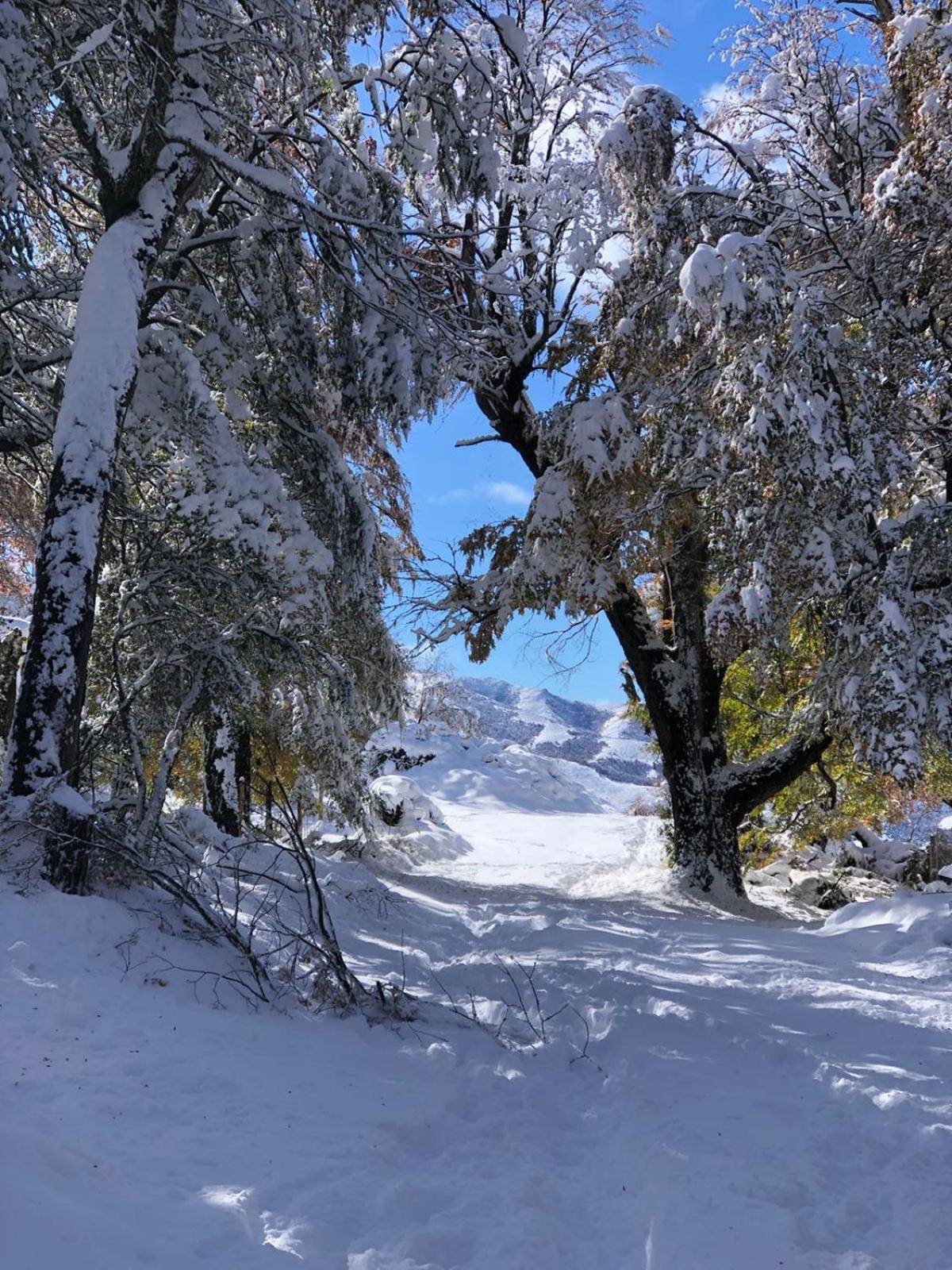 Cabana El Maqui San Martin de los Andes Luaran gambar